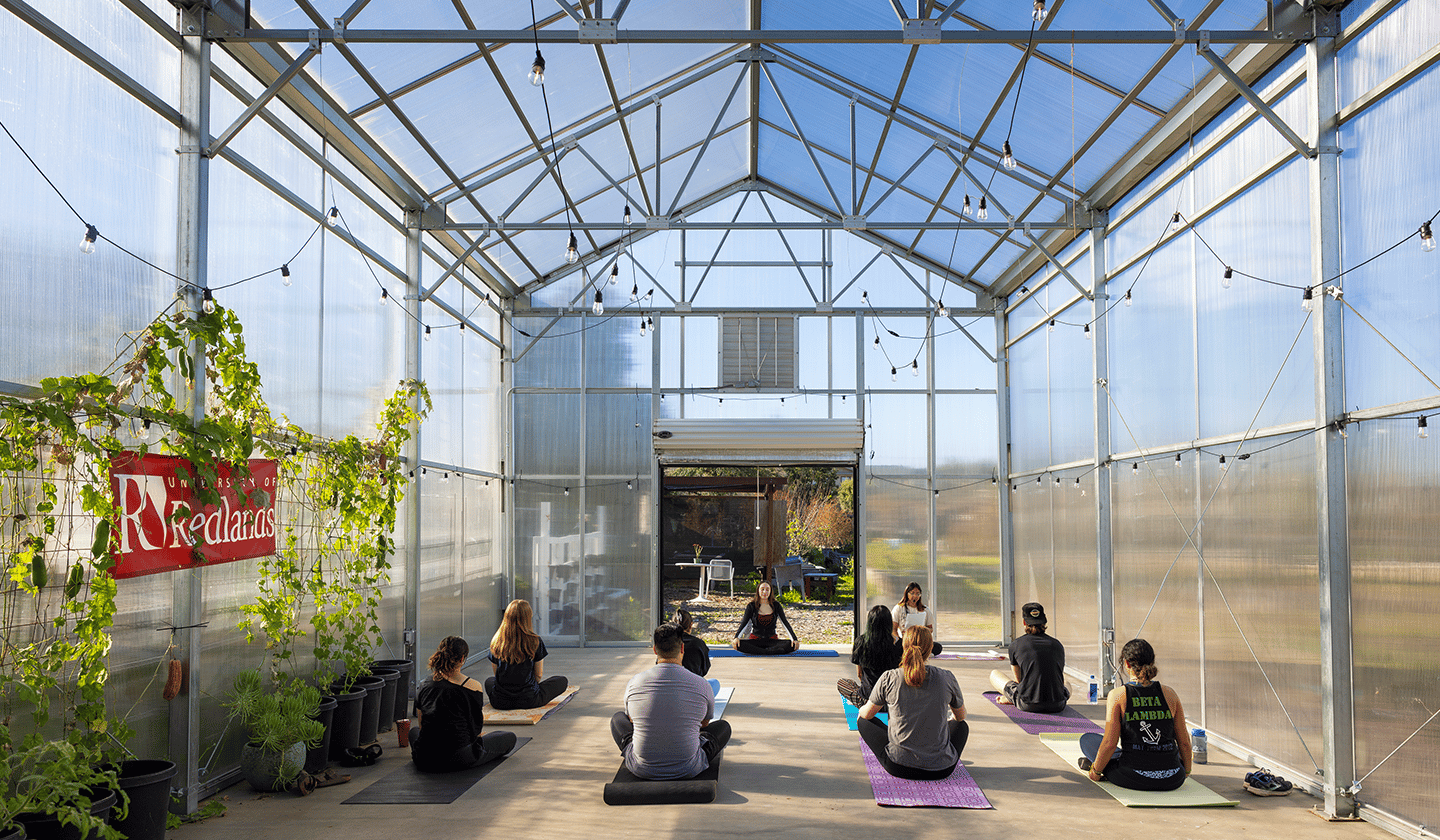 meditation in the Greenhouse