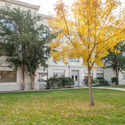 a tree in front of a building