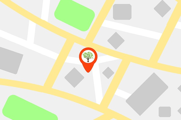 a map with a tree on it