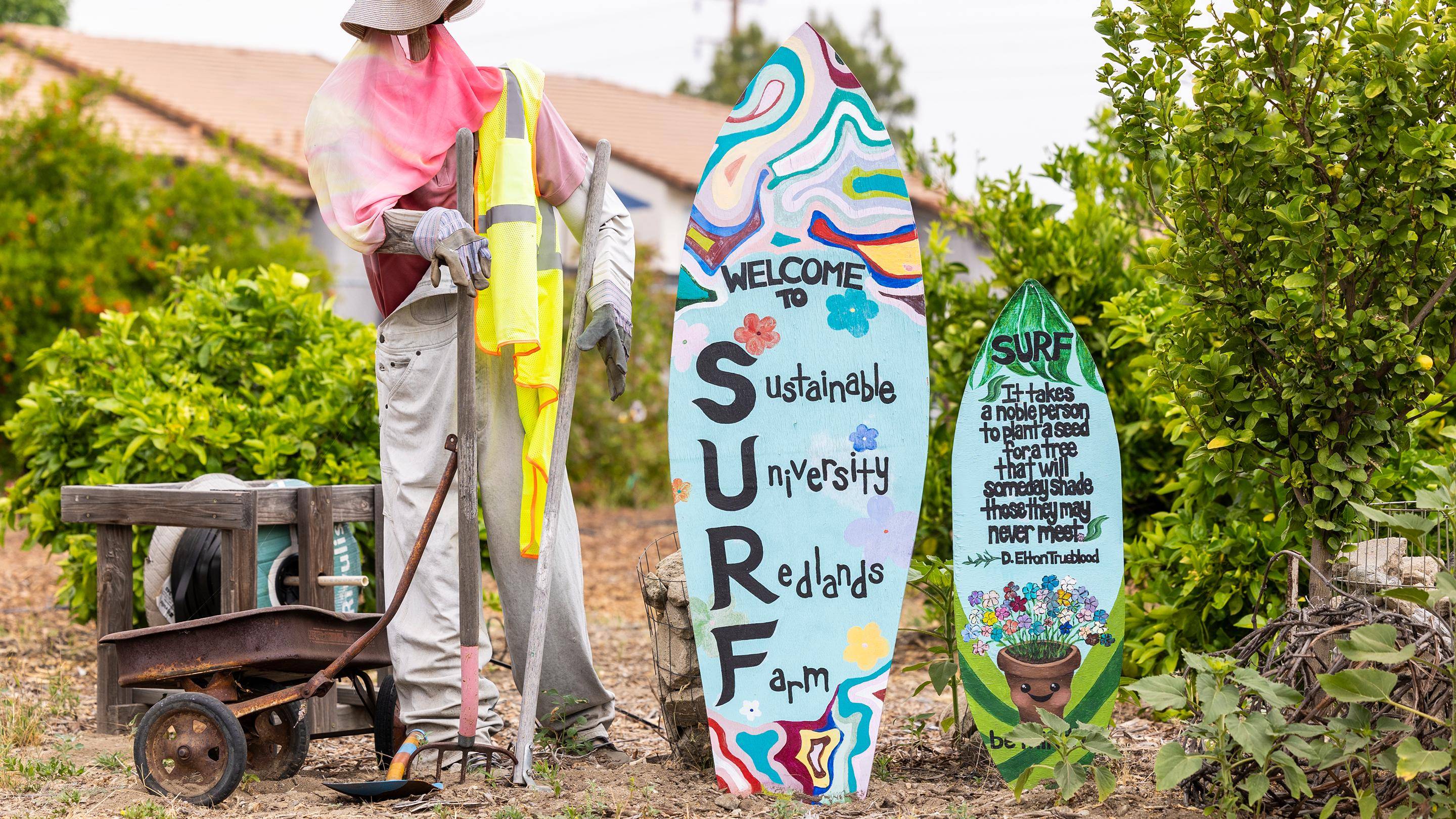 a scarecrow holding surfboards