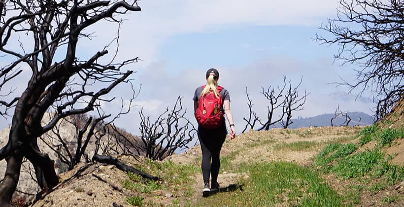 a person walking on a hill with a red backpack