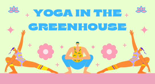 a group of people doing yoga