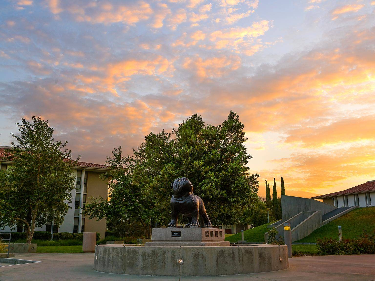 Bulldog statue standing during a sunset.