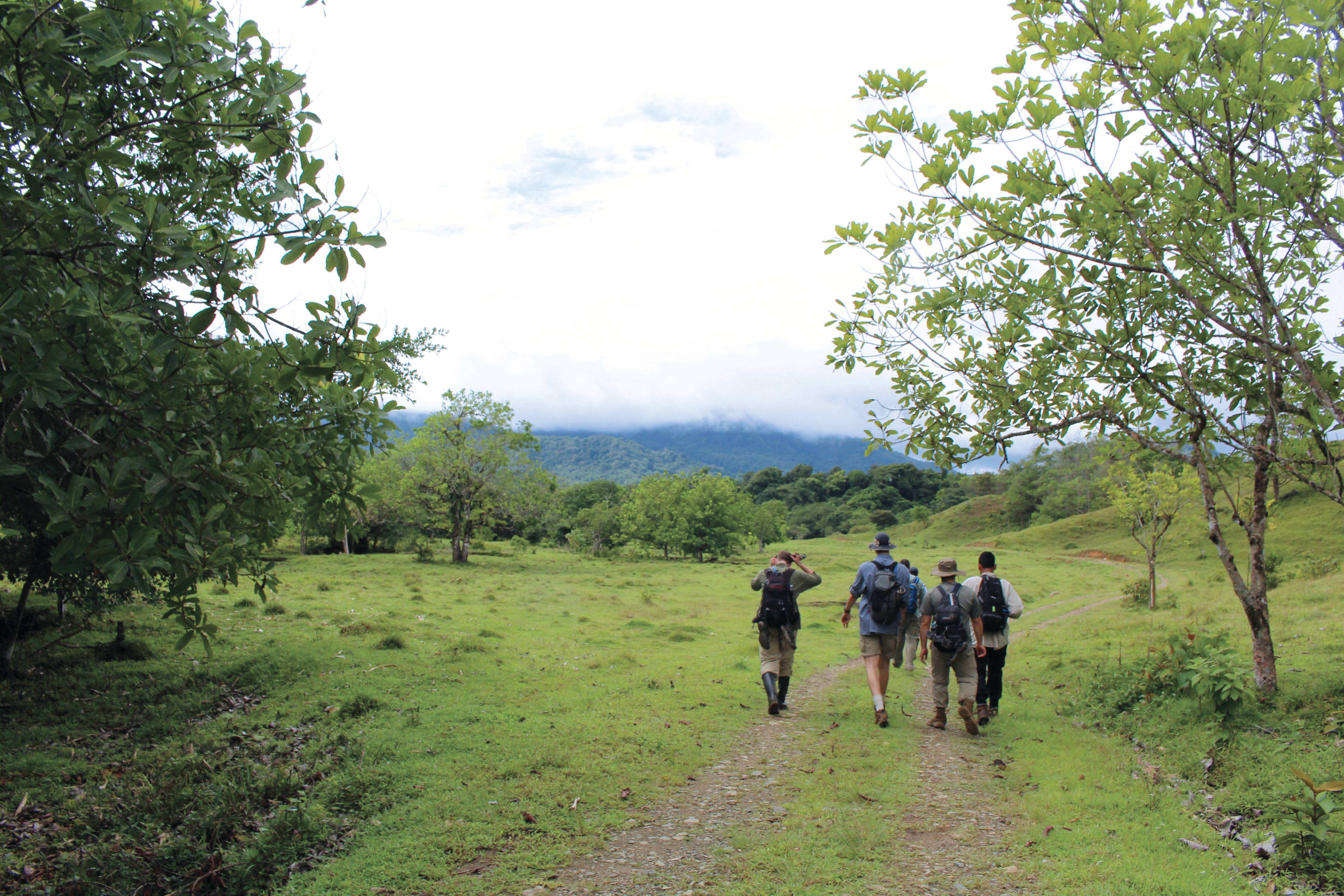 a group of people walking on a path in a grassy area