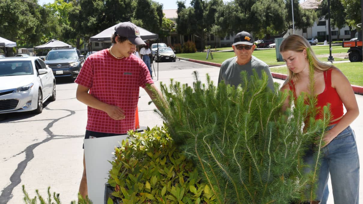 a person and a person looking at a plant