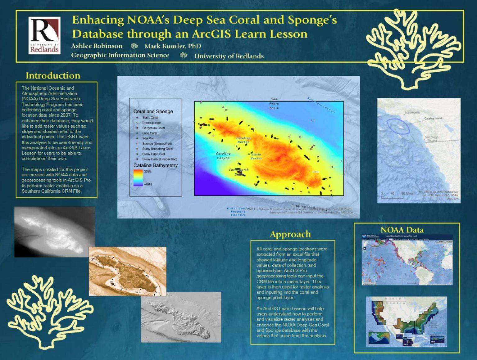 a map of the coral reef