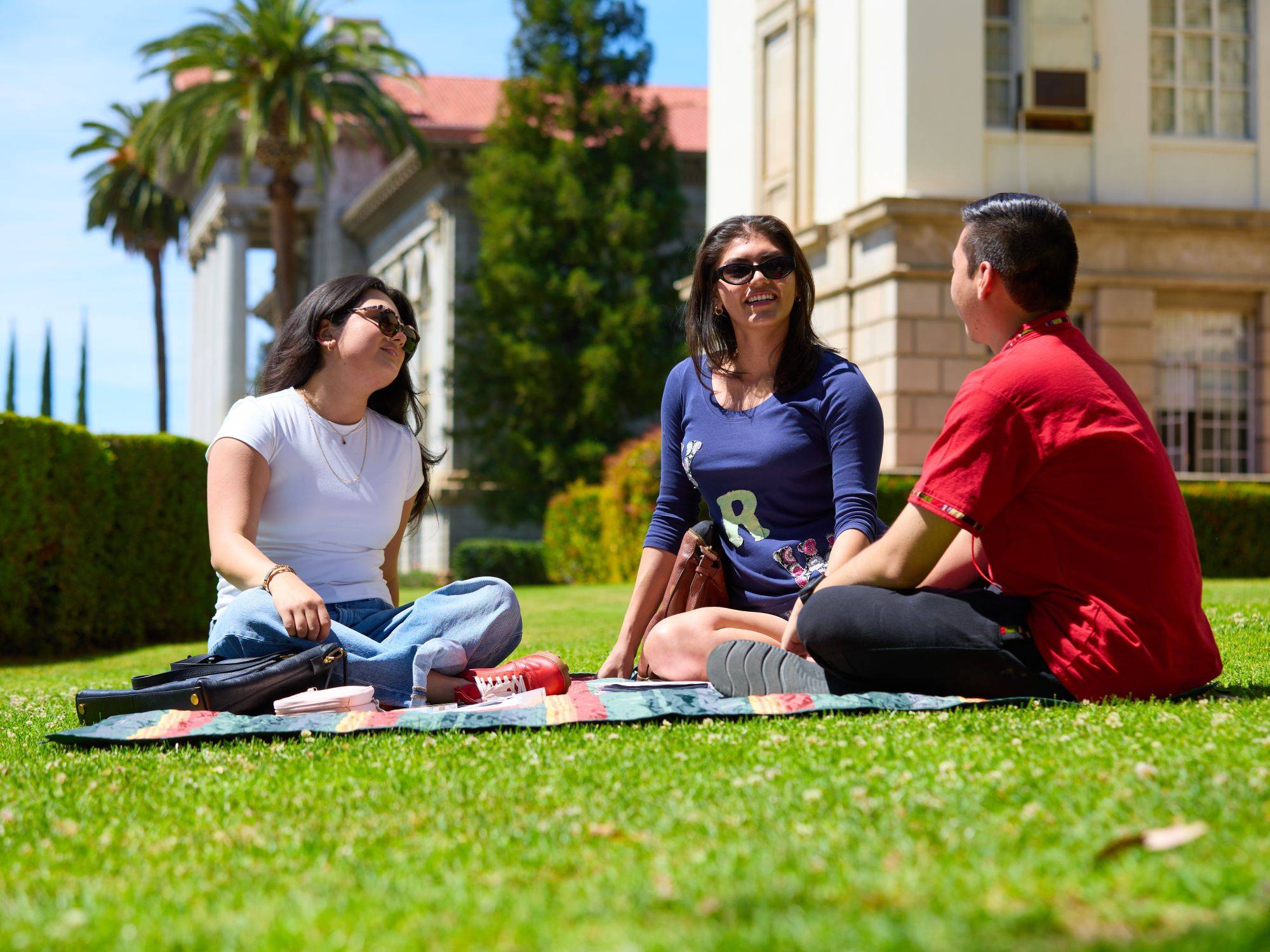 a group of people sitting on the grass
