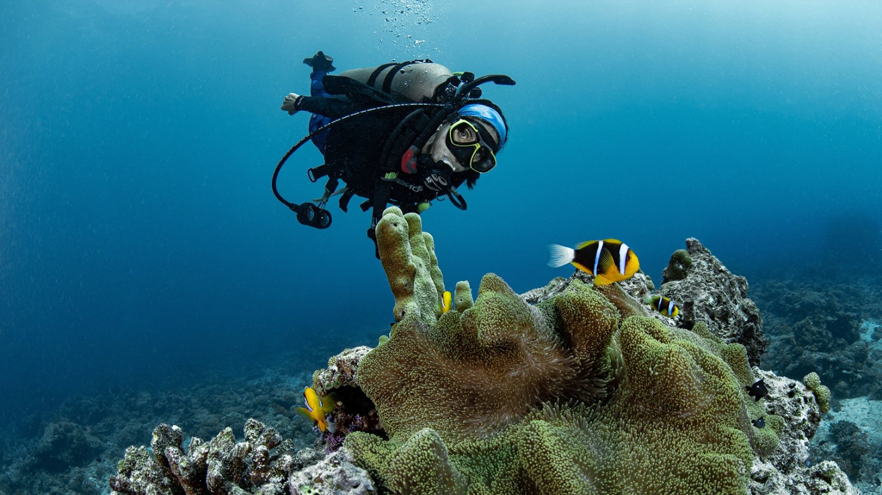 a person in scuba gear swimming under water with fish