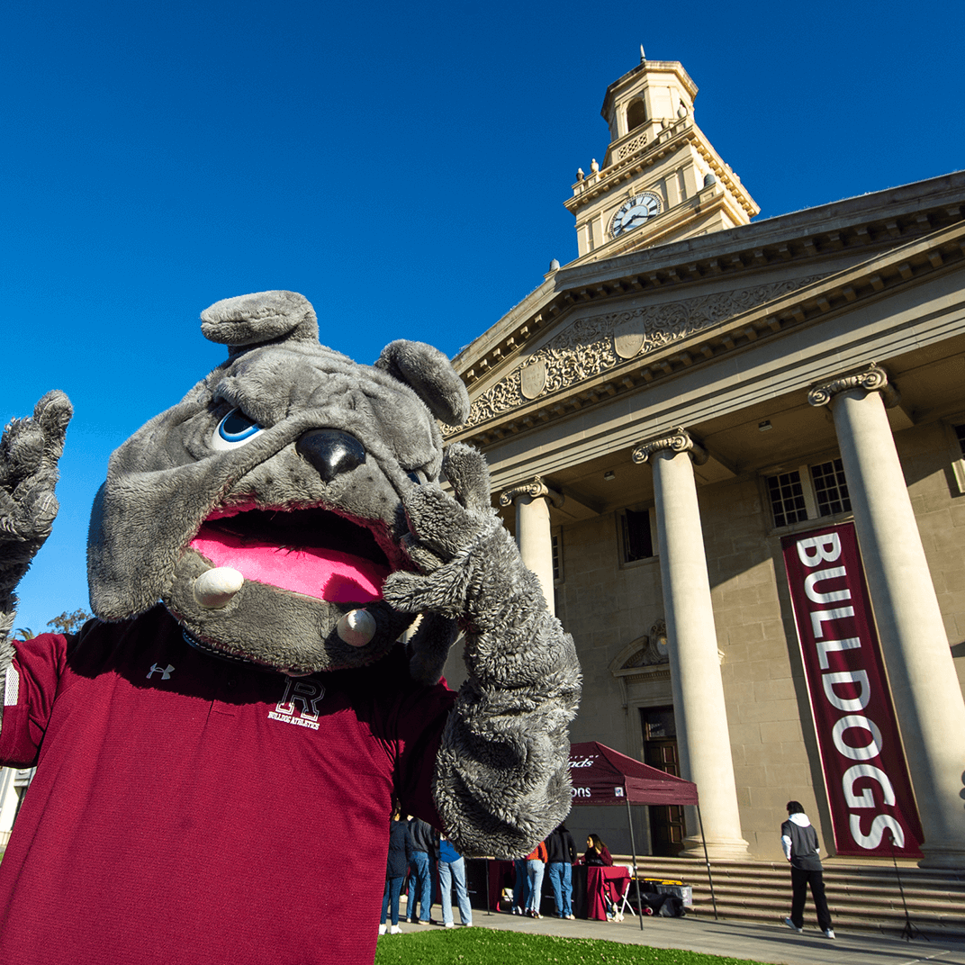 a person wearing a mascot garment in front of a building