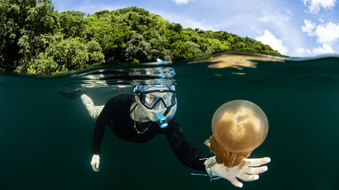 a person in a mask and snorkel holding a jellyfish