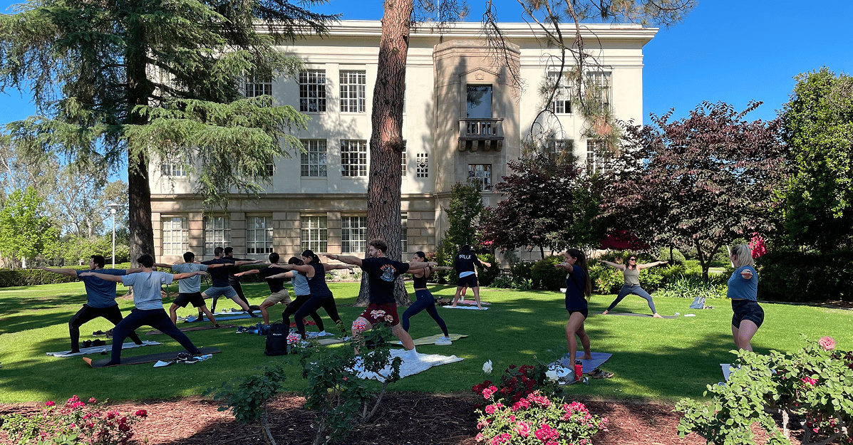 a group of people doing yoga outside
