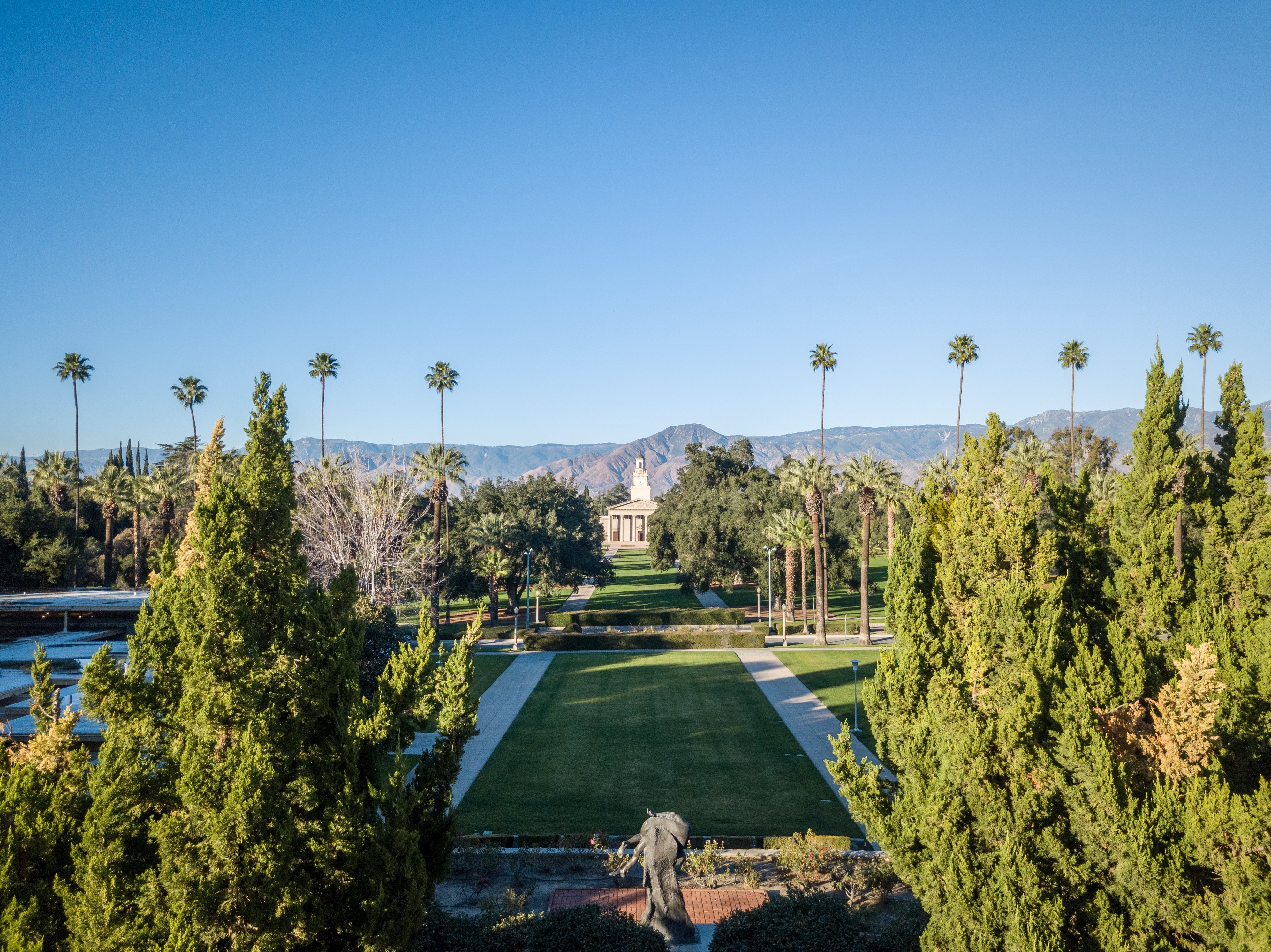 a park with trees and a statue in the background