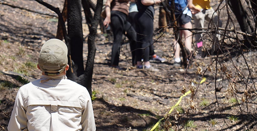 a group of people in the woods