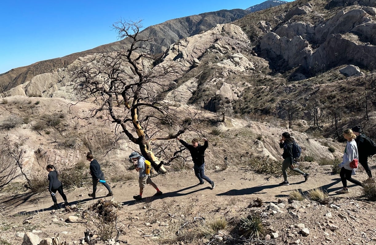 a group of people walking on a dirt path with a tree in the background