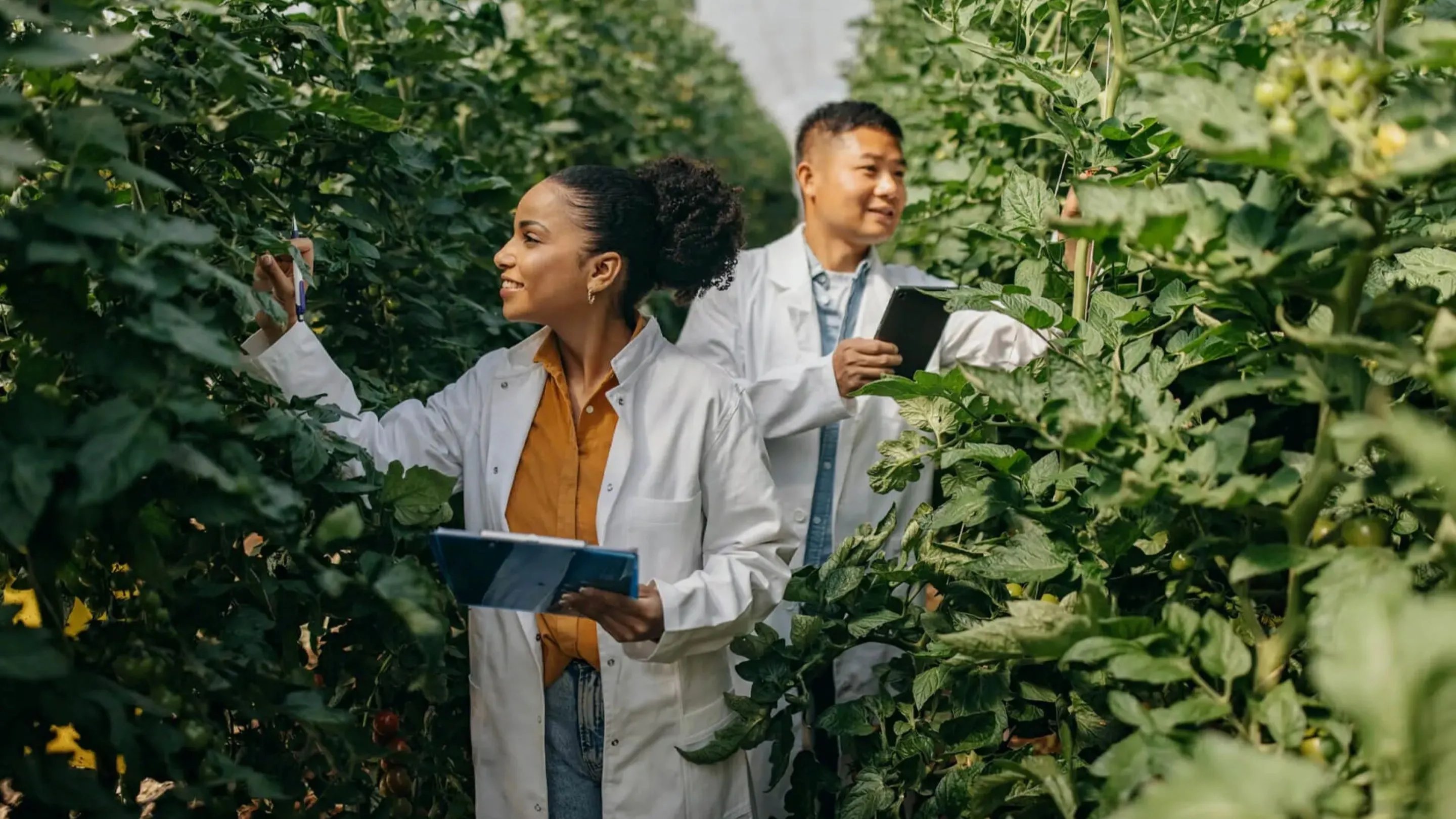 a couple of people in a greenhouse