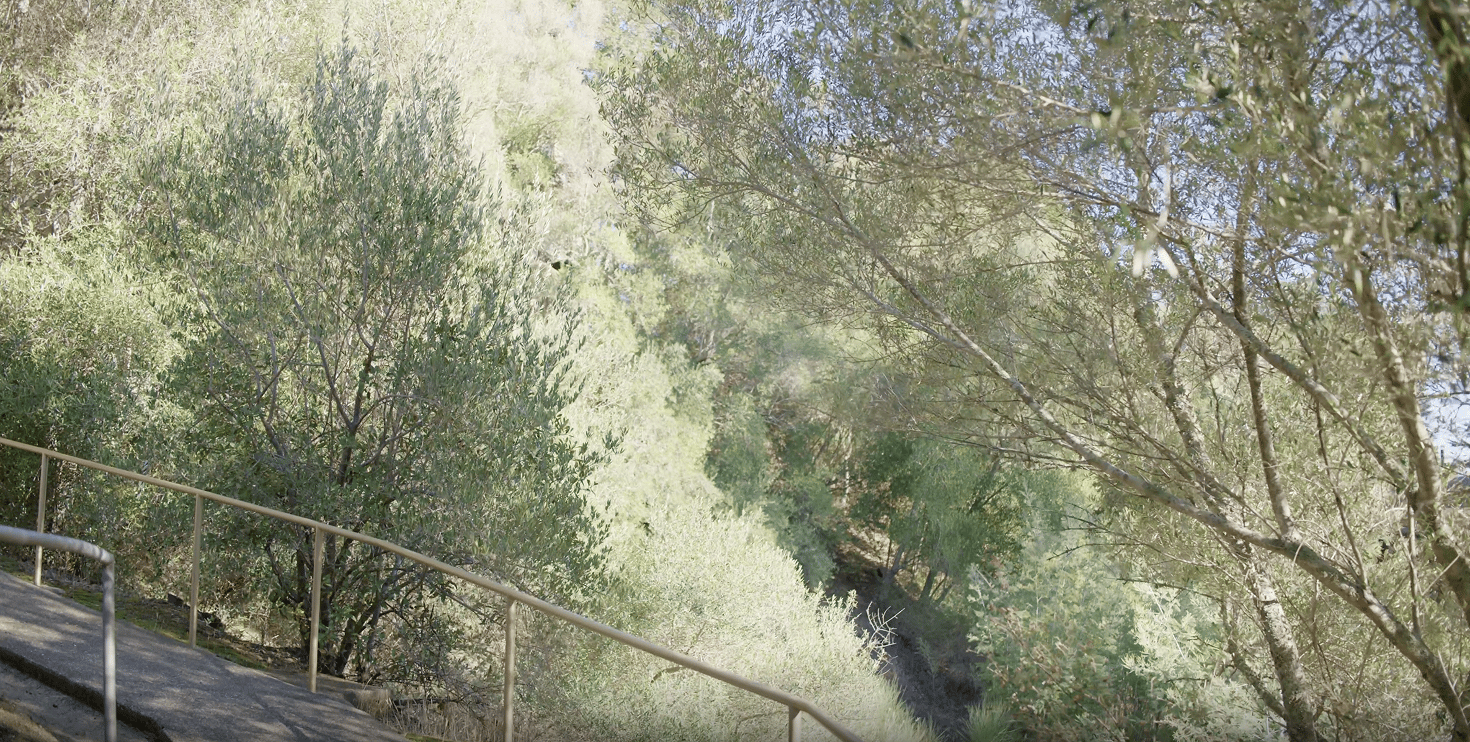 a path with a railing and trees