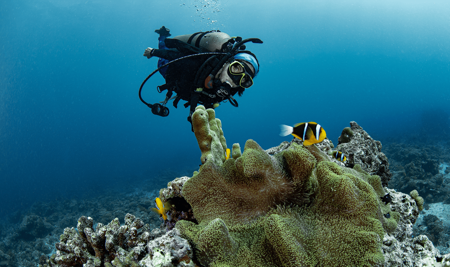 a scuba diver swimming under water