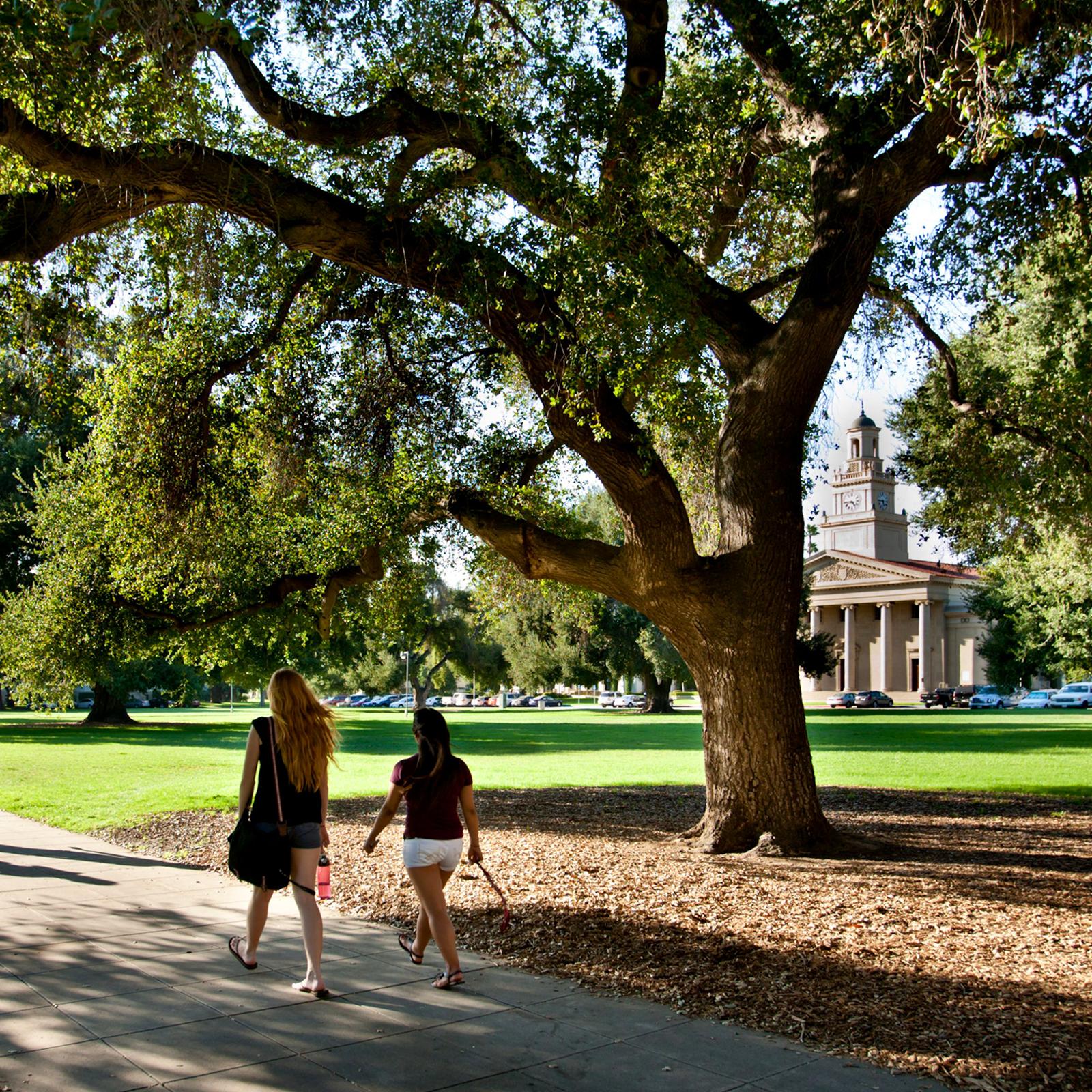 two women walking on a sidewalk under a large tree