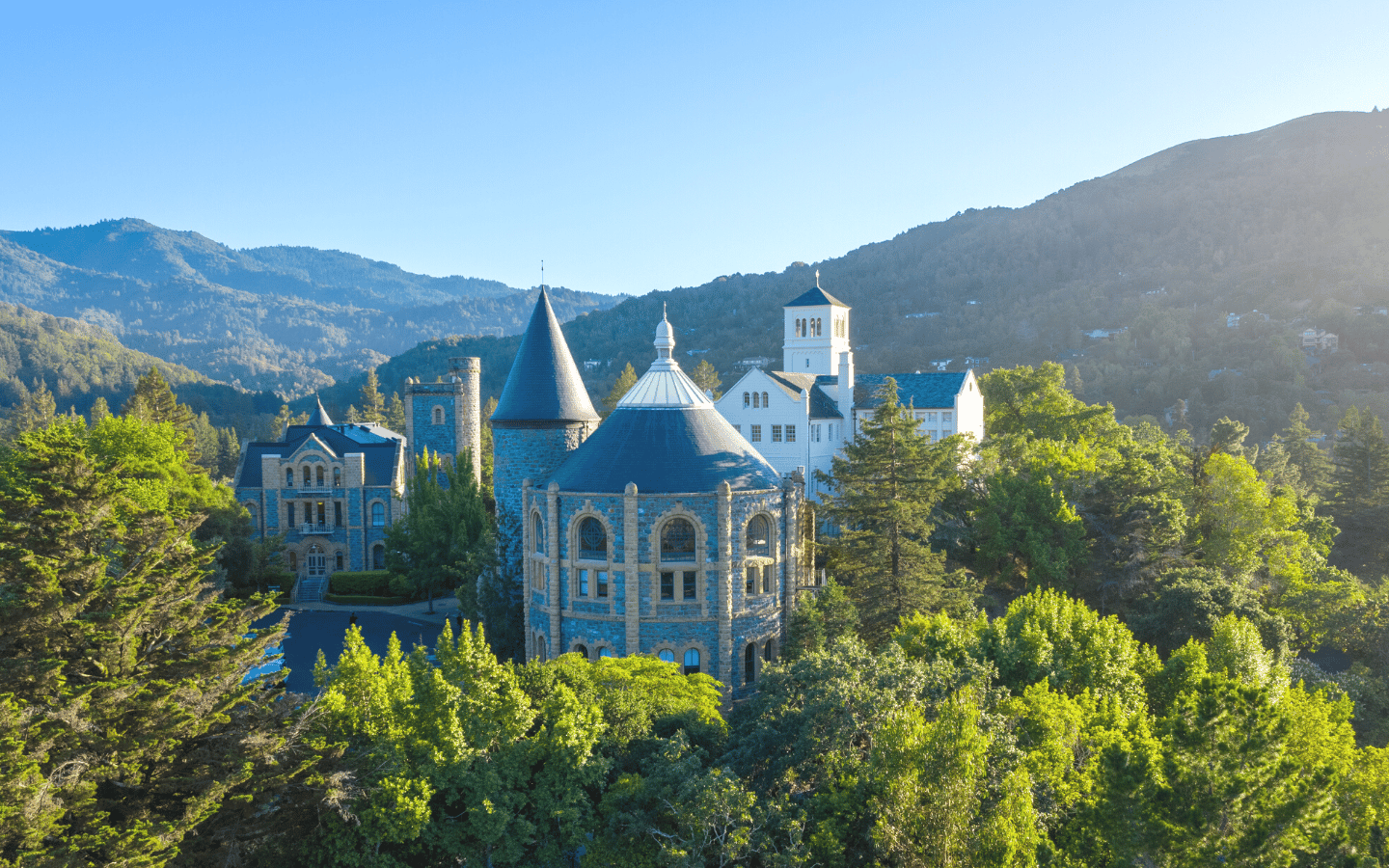 a building with a tower and a tower in the middle of a forest