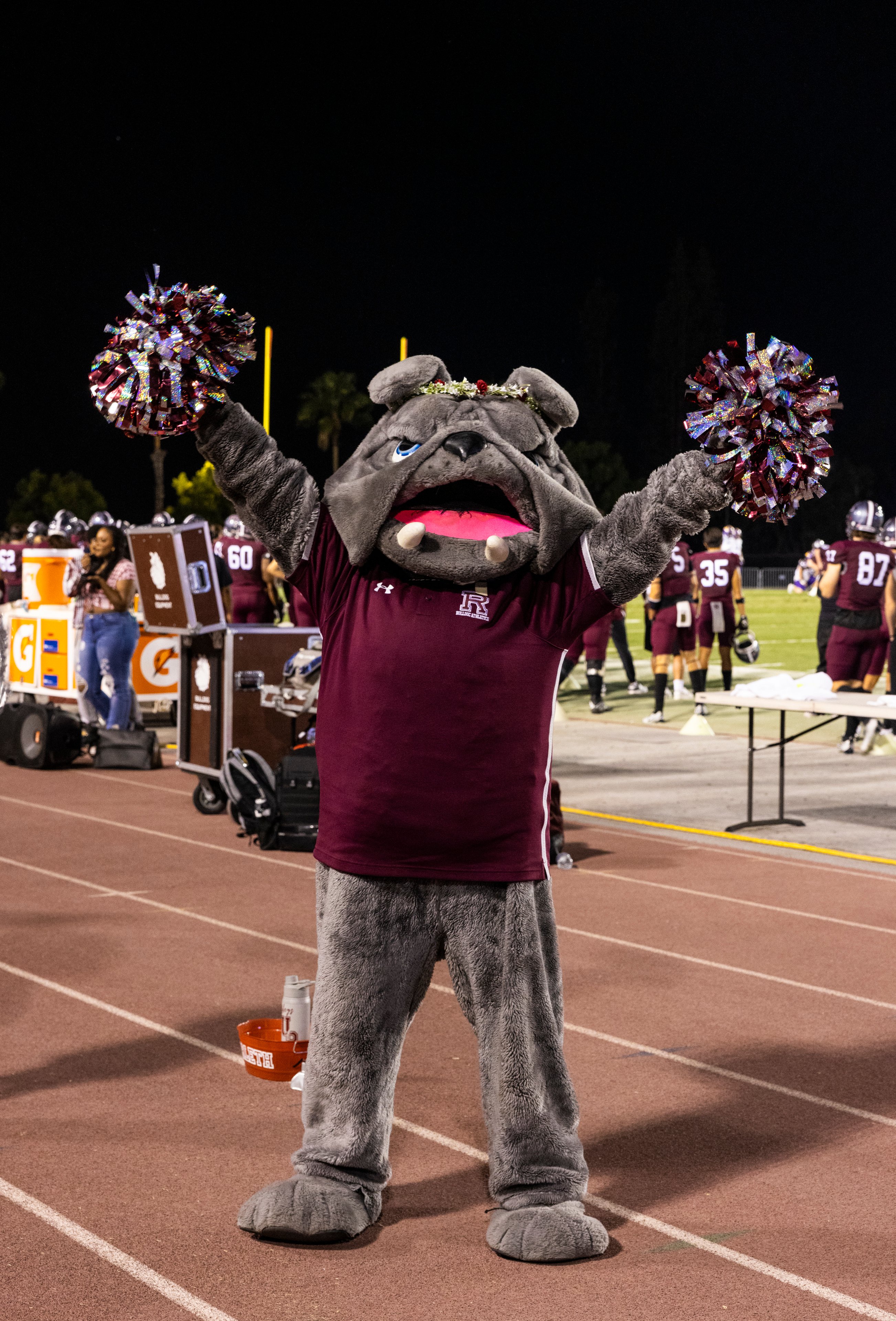 a person in a dog garment on a football field