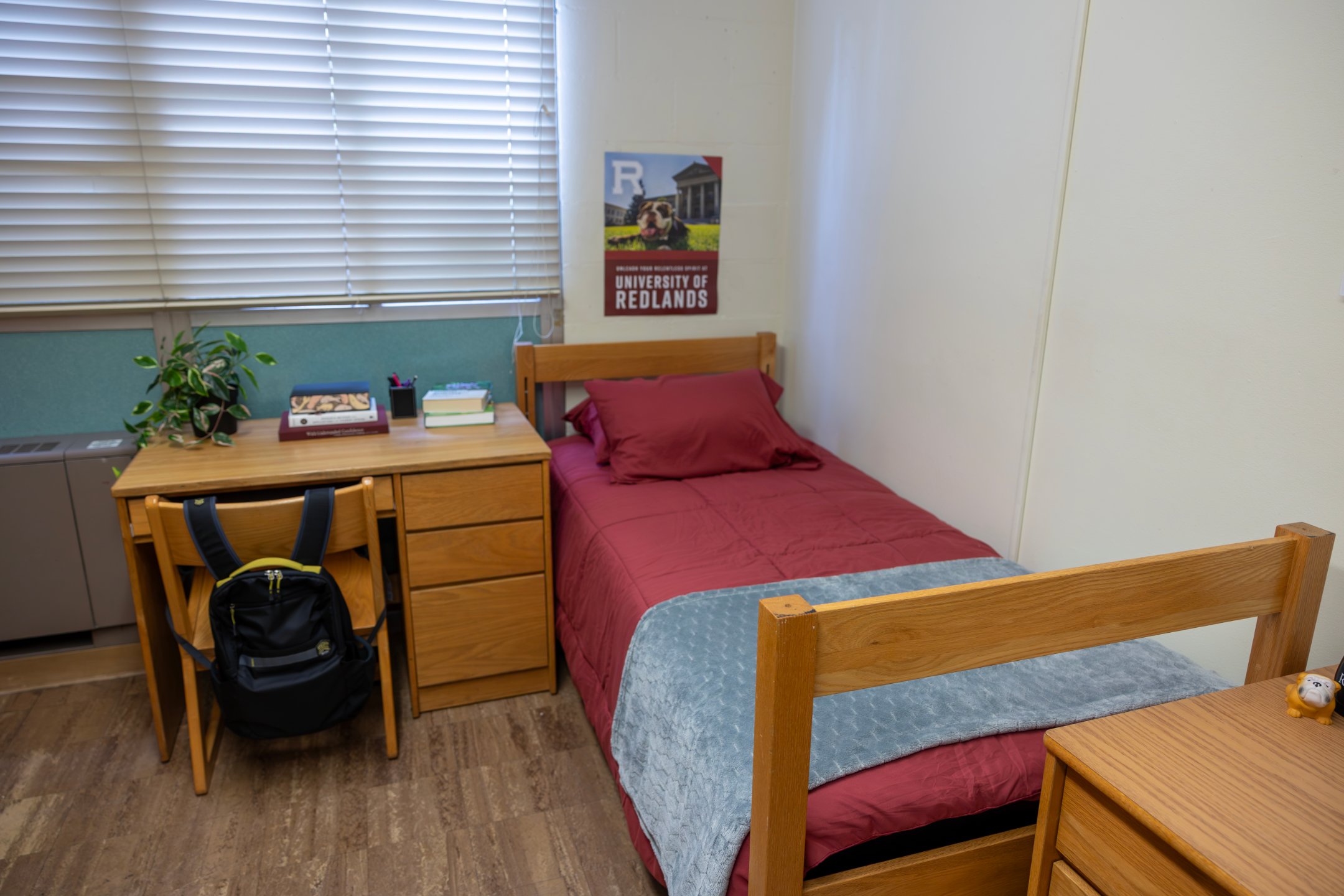 a bedroom with a desk and a bed