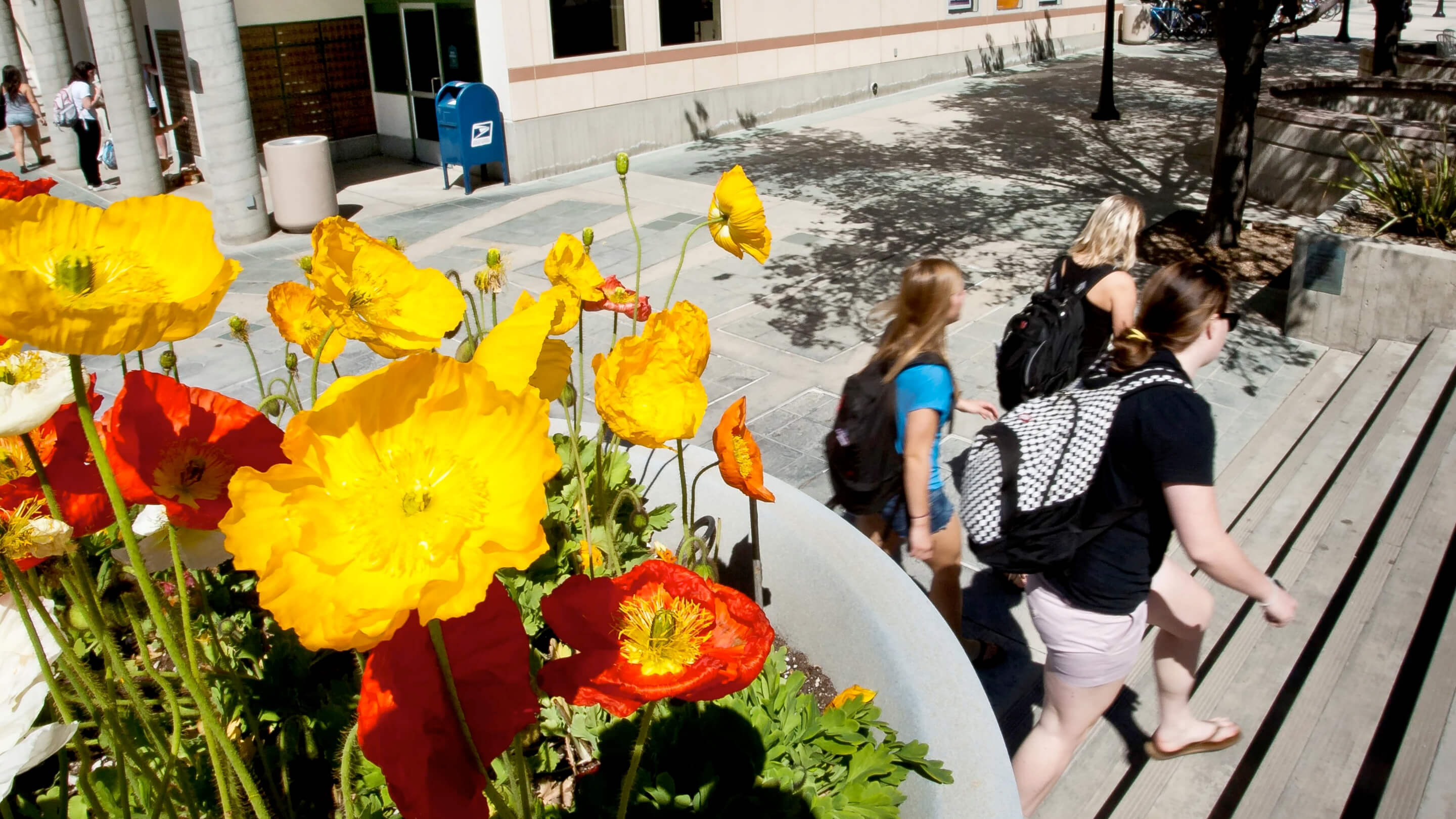 a group of people walking on a sidewalk with flowers