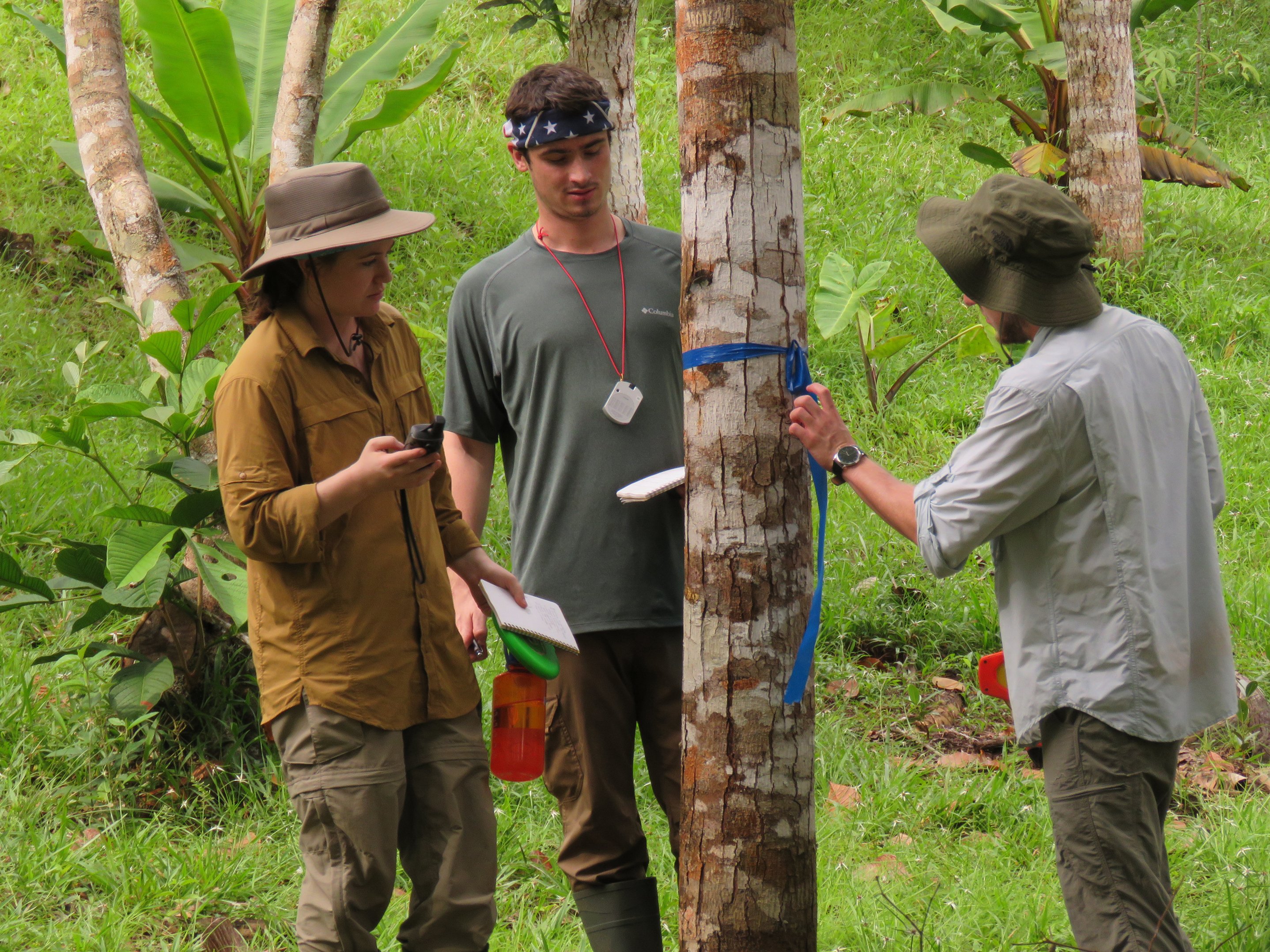 a group of people standing next to a tree
