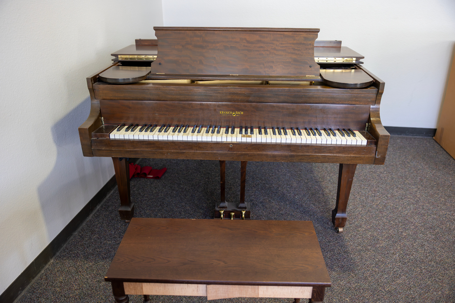 778A0931-Enhanced-NR