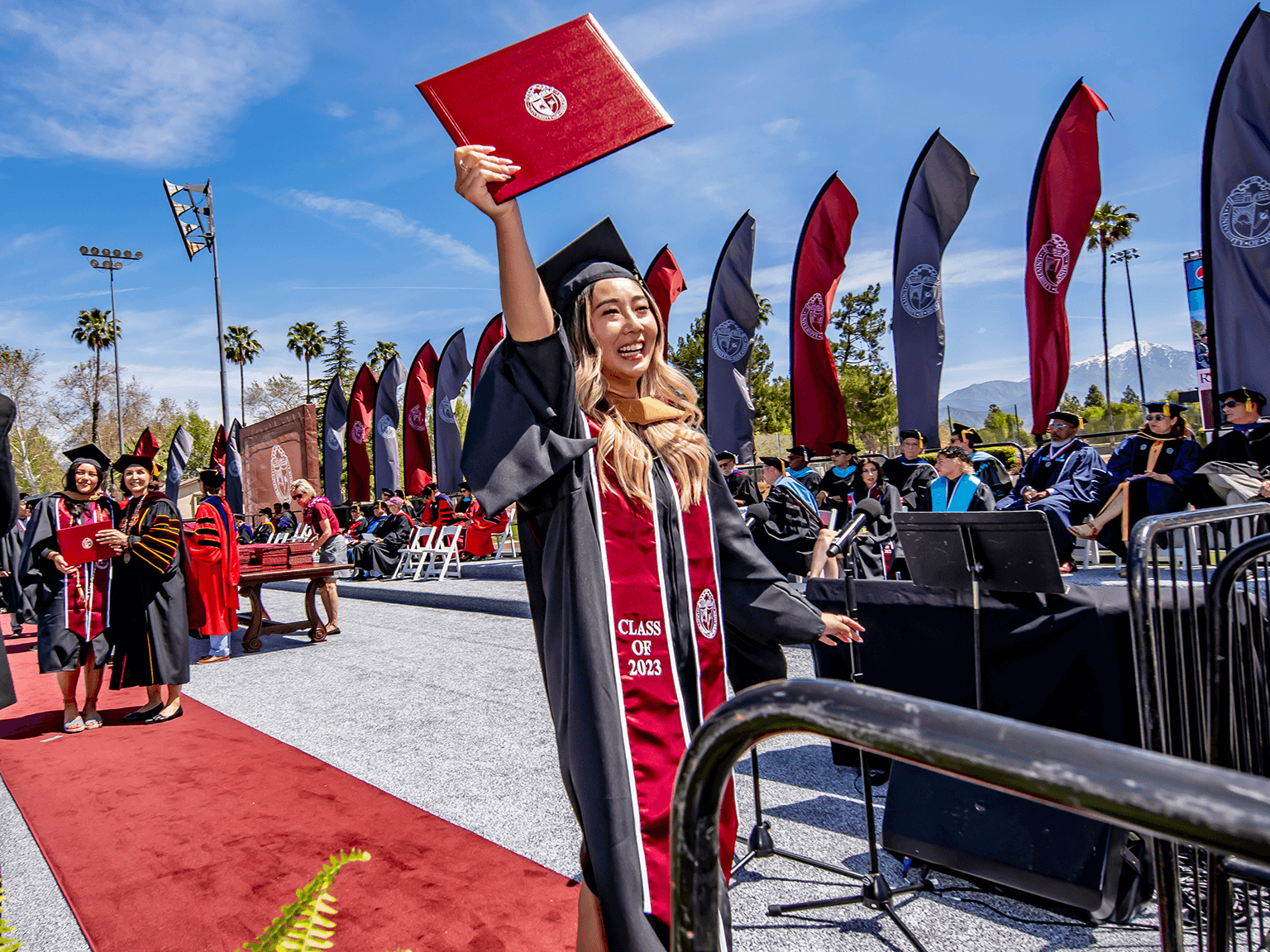 Graduate raising their diploma in celebration.
