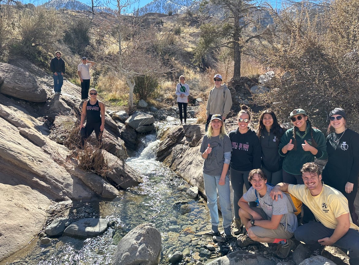 Screenshot 2024-11-21 102512