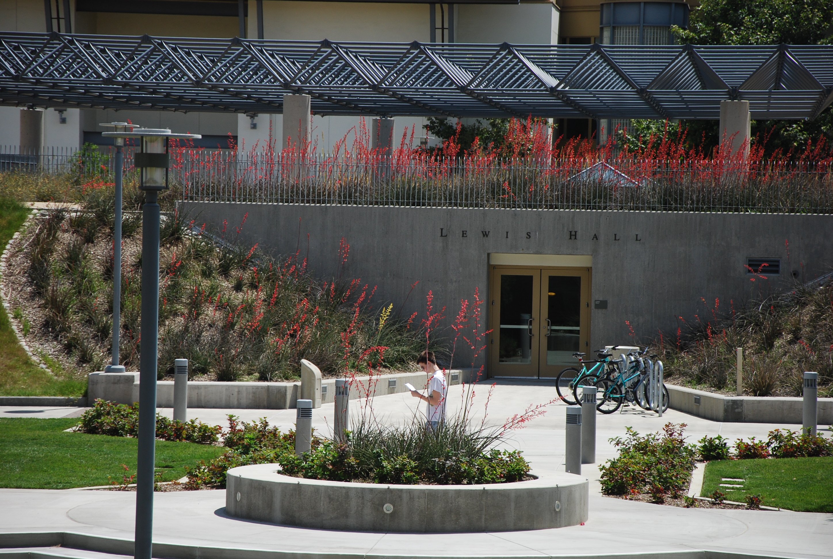 rs2541_dsc_0421-original