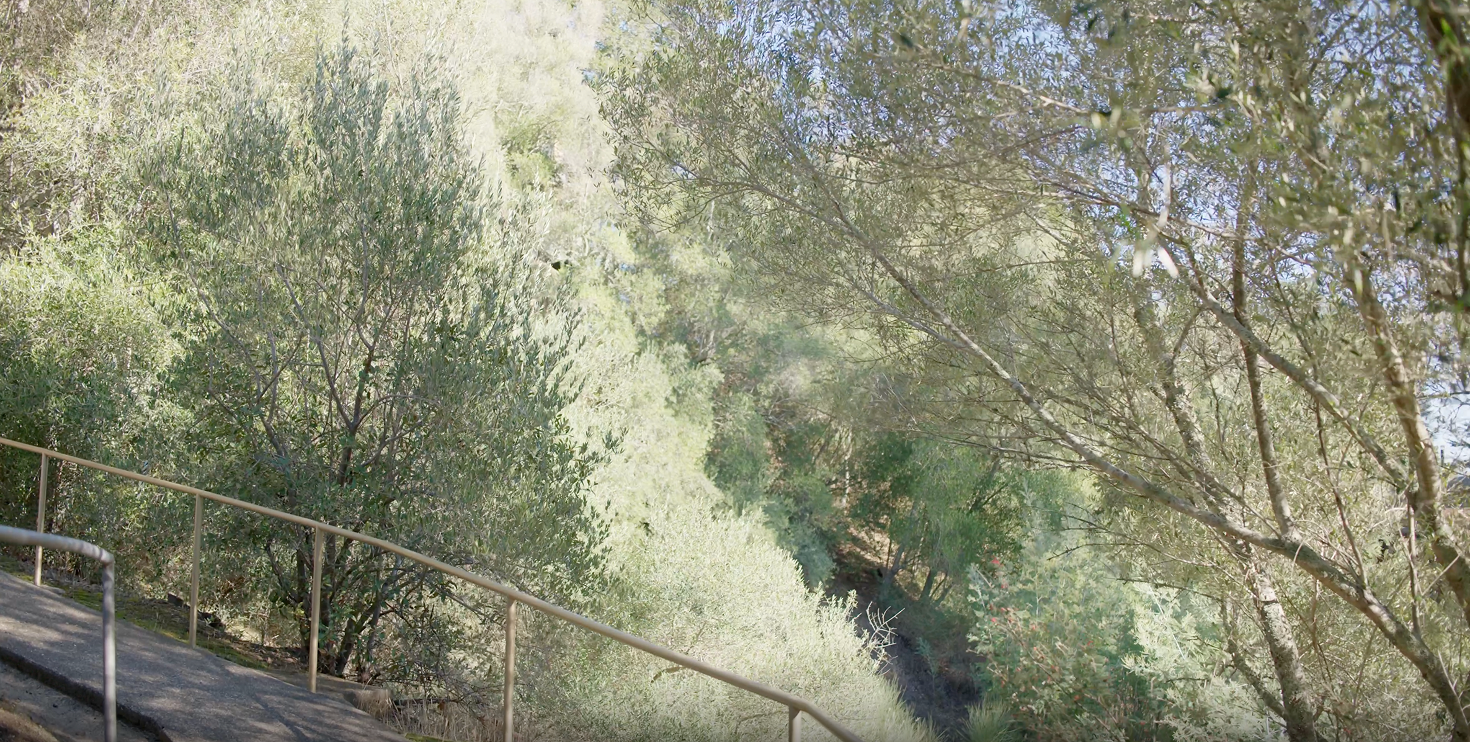 Screenshot 2025-07-10 at 11.15.09 AM 2