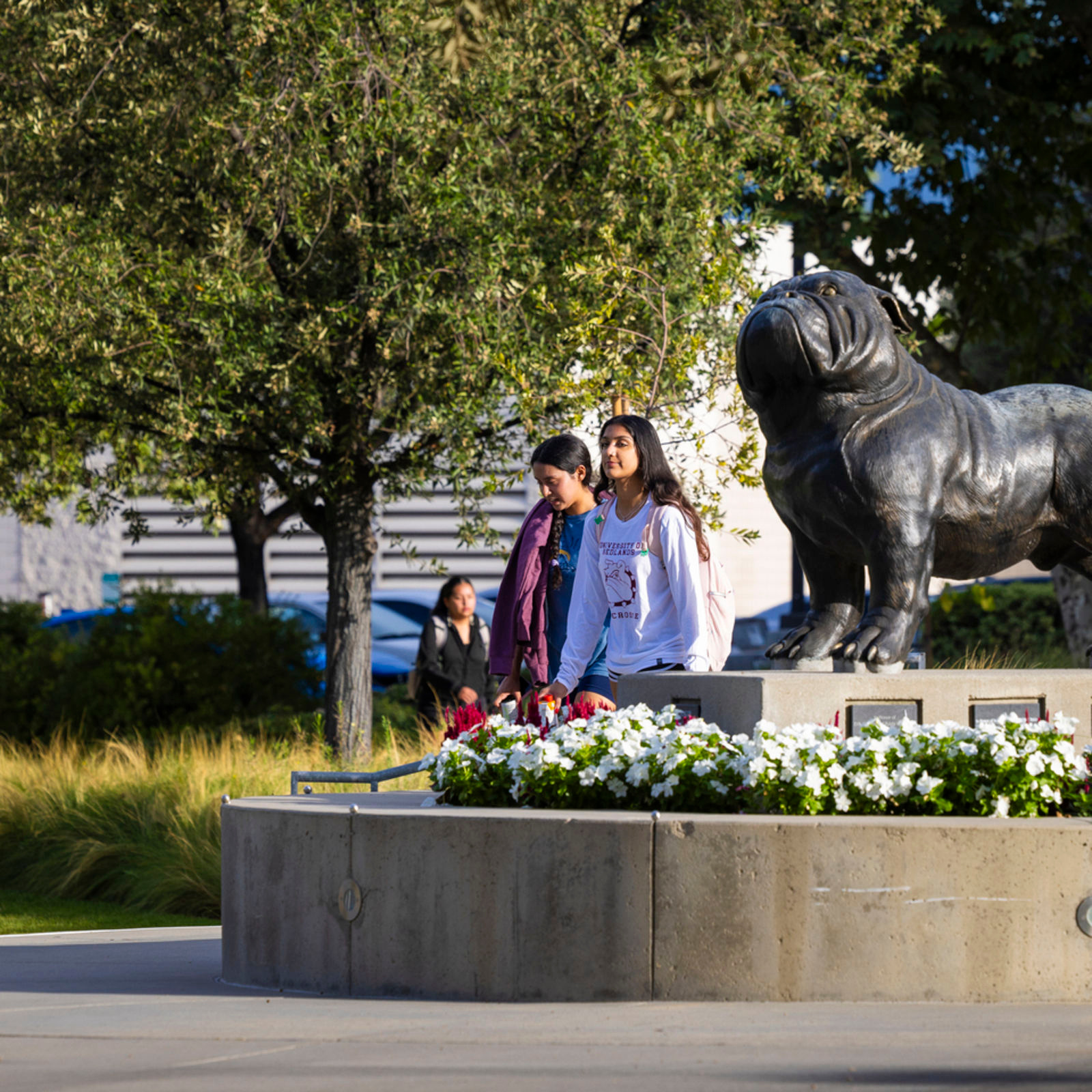 community-bulldog-statue-1600x1600