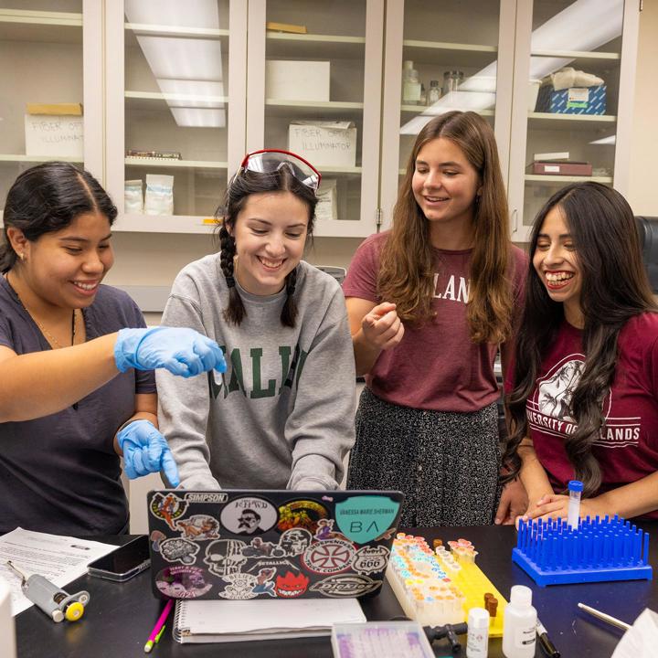 Media card - students doing lab research