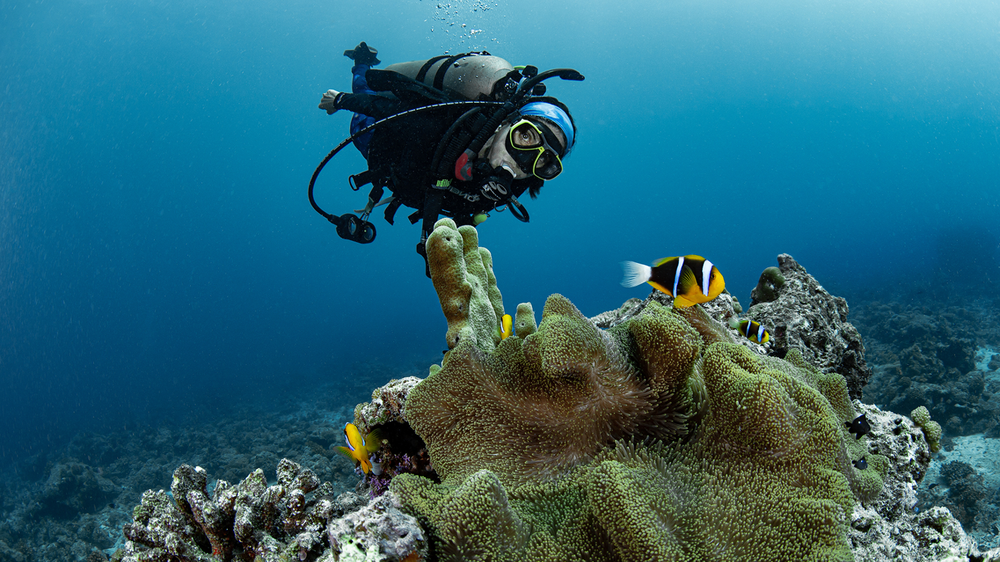 LeiLaniUofRMaytermscuba 1 (1)