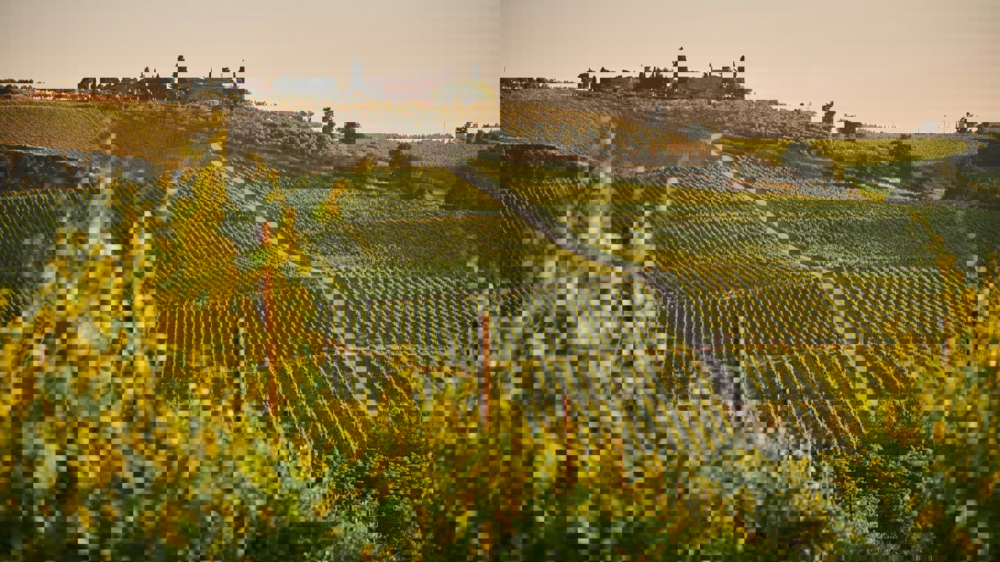 johny-goerend-pnigODapPek-unsplash