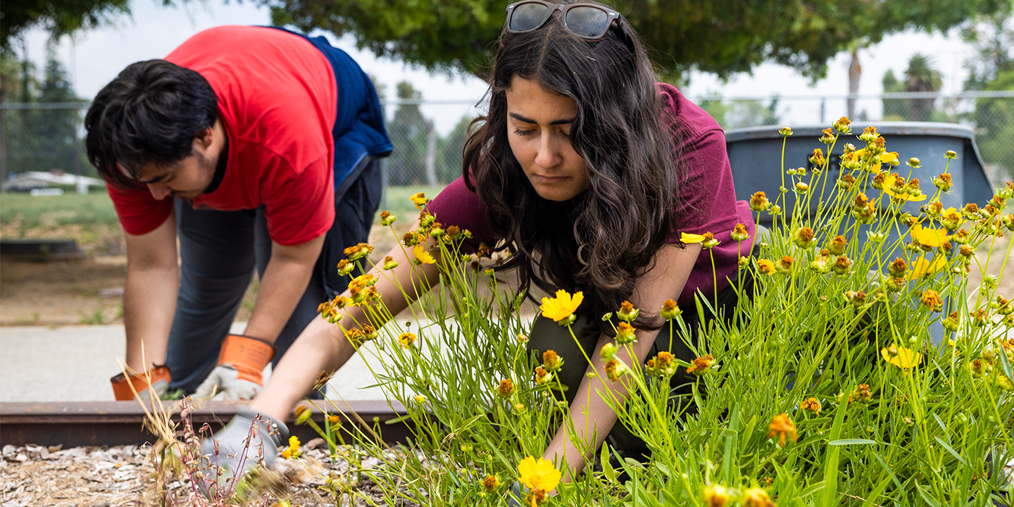 Sustainable farms club - masthead