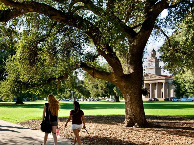 Image card - Students walking on campus