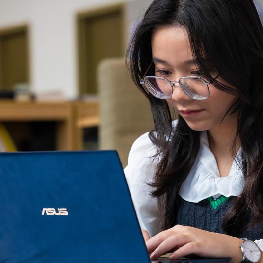 Horizontal tab - Student looking at career resources on her laptop