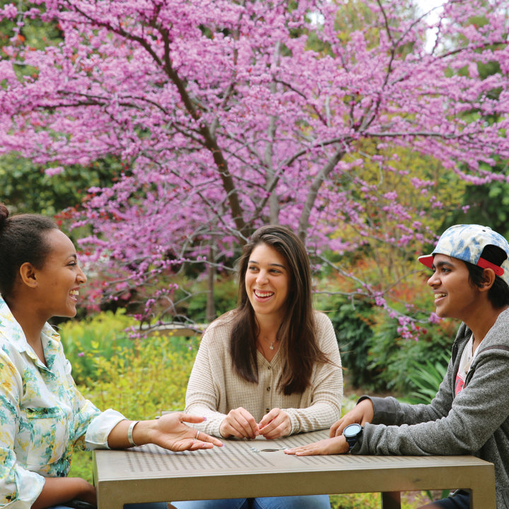 01_InternationslStudentsBlog_GJ